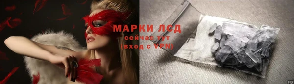прущие грибы Балахна