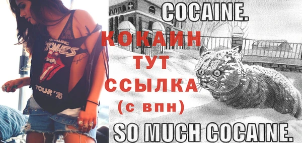 прущие грибы Балахна