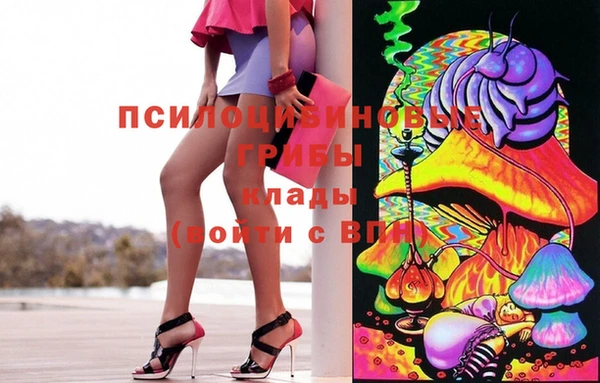 спайс Баксан