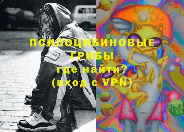 прущие грибы Балахна