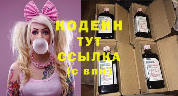 прущие грибы Балахна