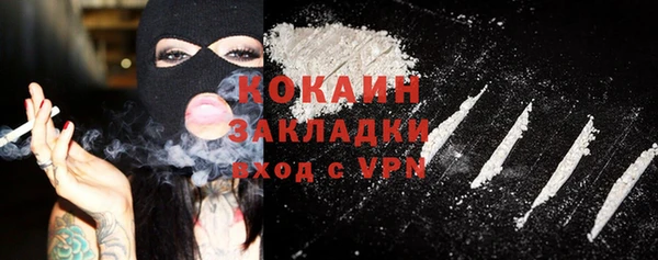 прущие грибы Балахна