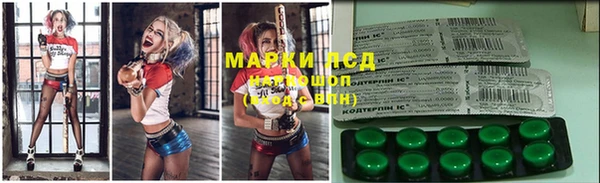 спайс Баксан